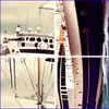 Picture Pie - Harbour City web play small