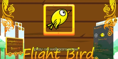  FlightBird unblocked
